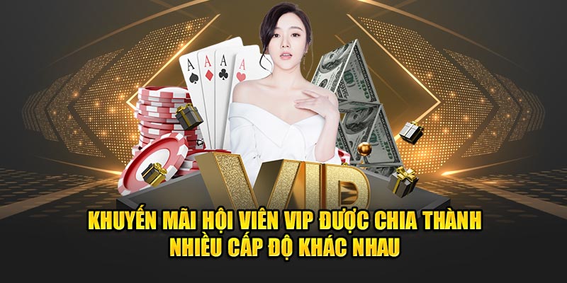 khuyen-mai-hoi-vien-vip-duoc-chia-thanh-nhieu-cap-do-khac-nhau